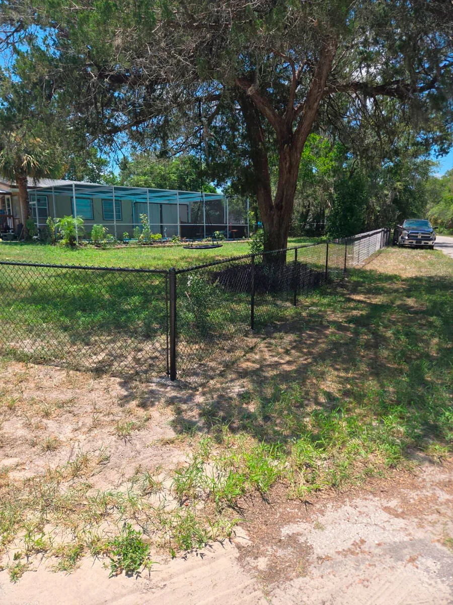 Chain link fence along a residential property